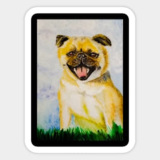 Pug Sticker